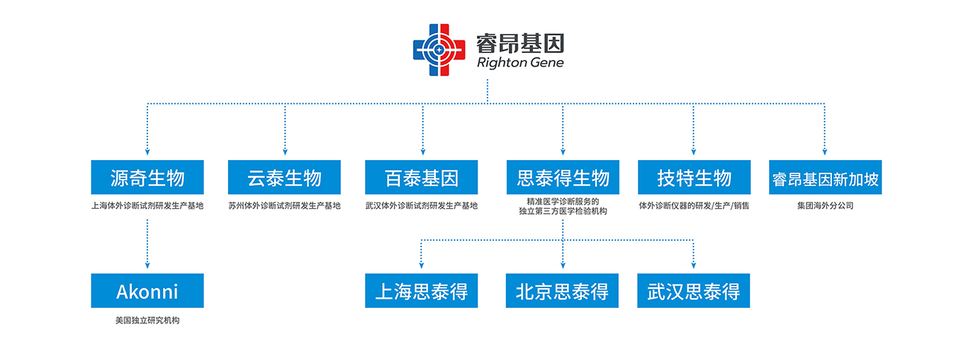 官网组织架构72.jpg